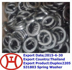 Duplex2205 S31803 Spring Washer