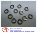 Inconel X-750 Spring Disc Washer