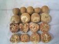  Betel Nut - Dried - Fresh 2