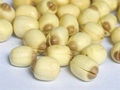 Lotus Seed