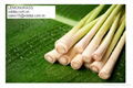 LEMONGRASS 2