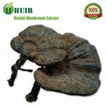 ganoderma  lucidum  extract 3