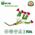 Rhodiola  rosea extract 2