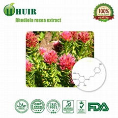 Rhodiola  rosea extract