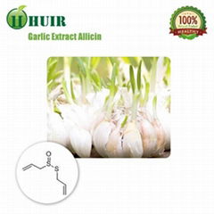 Garlic extract