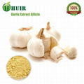 Garlic extract 2