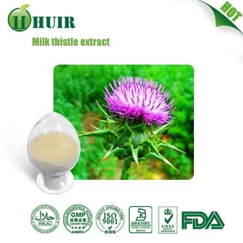 Milk Thistle Research Paper