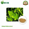 Ginkgo Biloba Extract Powde 1