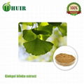 Ginkgo Biloba Extract Powde 3