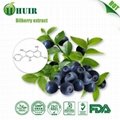 Grape  seed extract 2