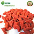 goji powder 3