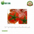 番茄红素提取物 1