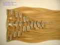 Clips-ins,clips on hair extension 1