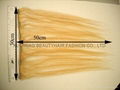 Clips-ins,clips on hair extension 2