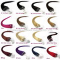 Micro ring hair, Loop hair , Easy Loop hair, ring hair 2