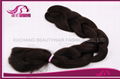 Beautyhair  X-pression braiding hair -