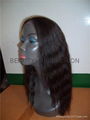 Lace front wigs,full lace wigs,wigs with mono skin cap 5