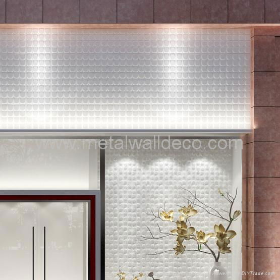 metal panel curtain wall facade 3