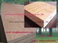 commercial plywood/plywood sheet/okoume