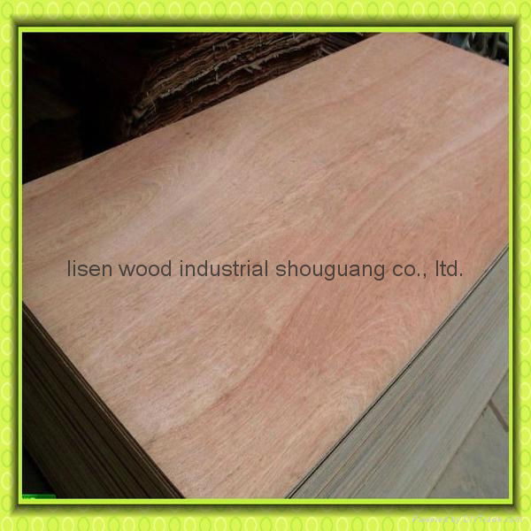 commercial plywood/plywood sheet/okoume faced plywood  2