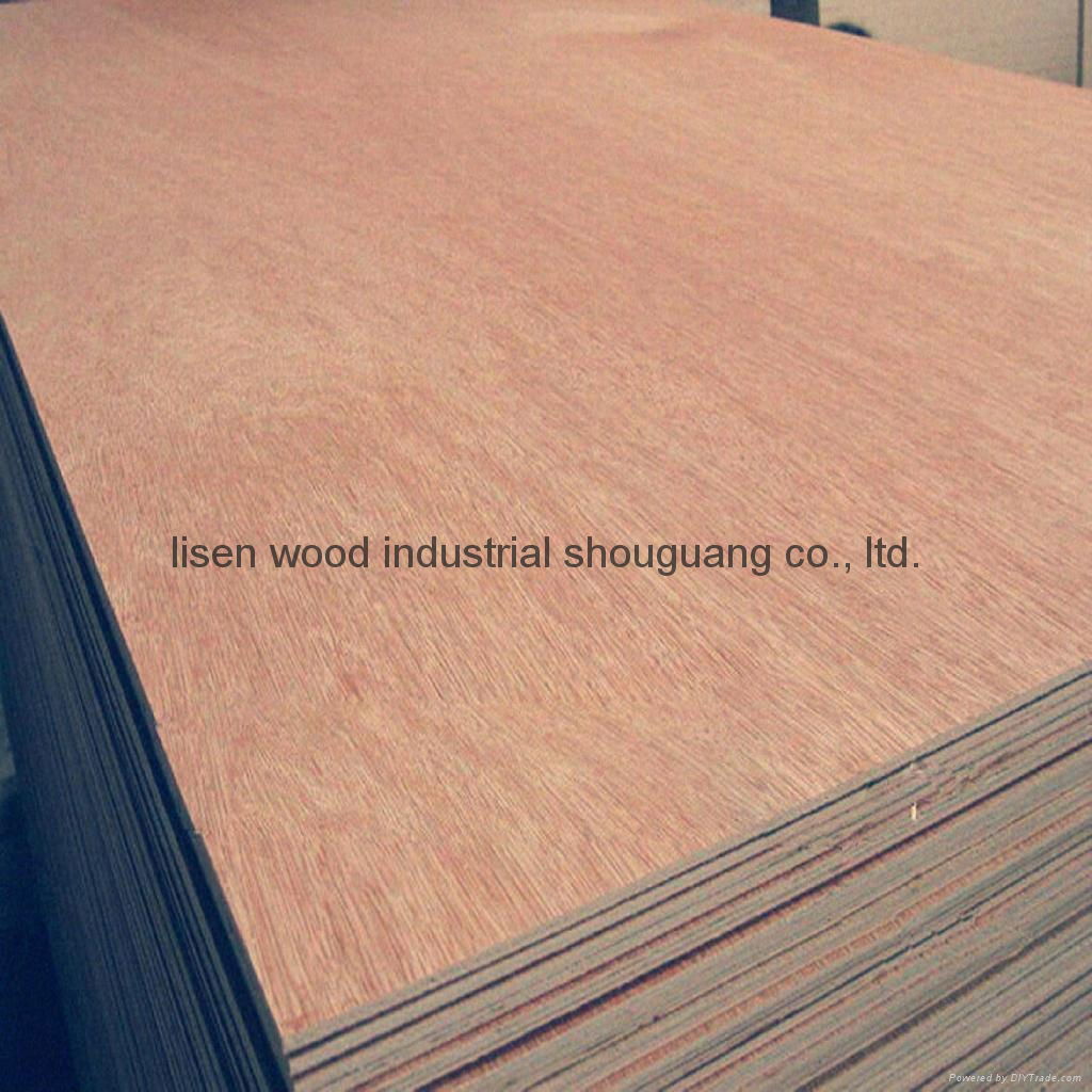 commercial plywood/plywood sheet/okoume faced plywood  3