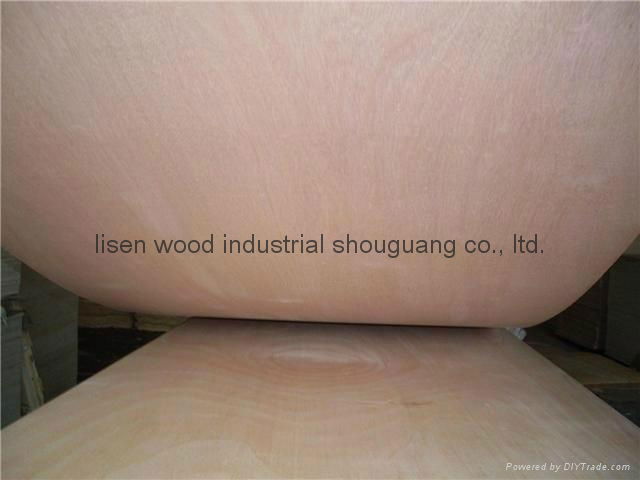 commercial plywood/plywood sheet/okoume faced plywood  5