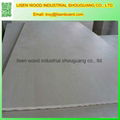 Chinese Birch plywood