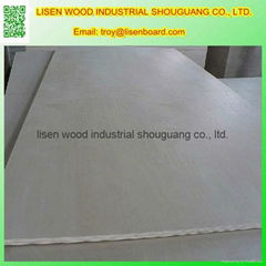 Chinese Birch plywood 