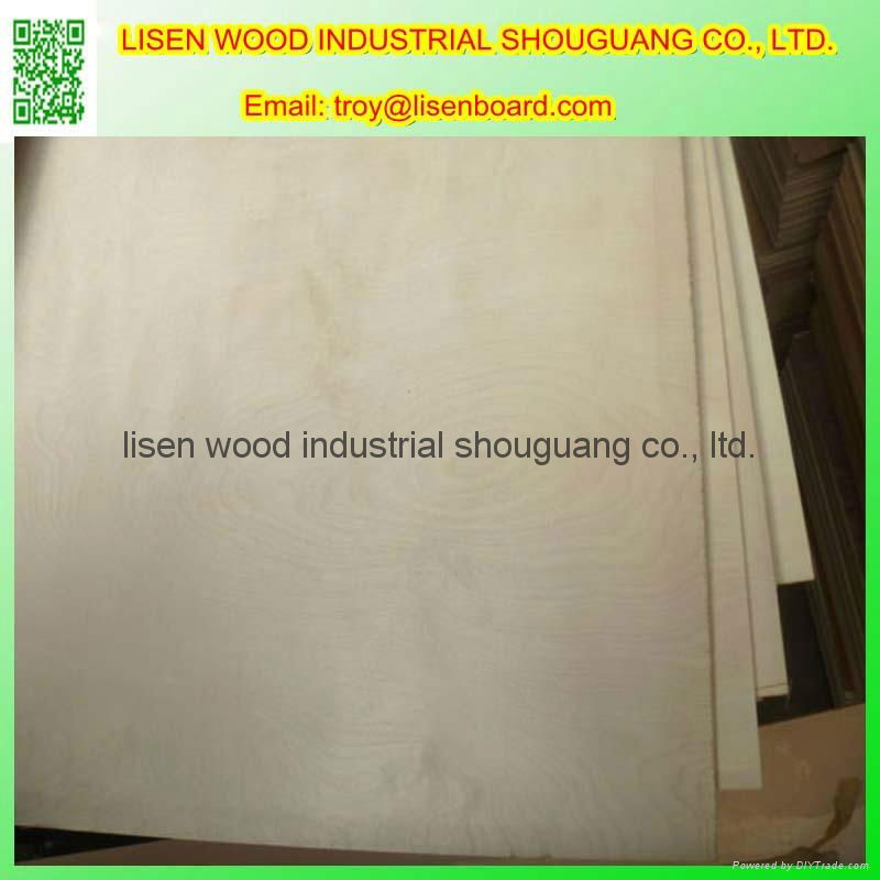 Chinese Birch plywood  2