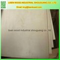 Chinese Birch plywood  2