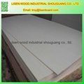 Chinese Birch plywood  3