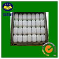 Calcium Hypochlorite (Bleaching Powder) 35%-70% 4