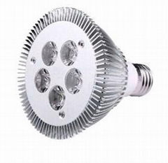 LED SpotLight PAR30 5W