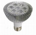 LED SpotLight PAR30 5W   2