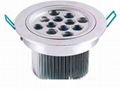 LED Ceiling Light 15X1W 2