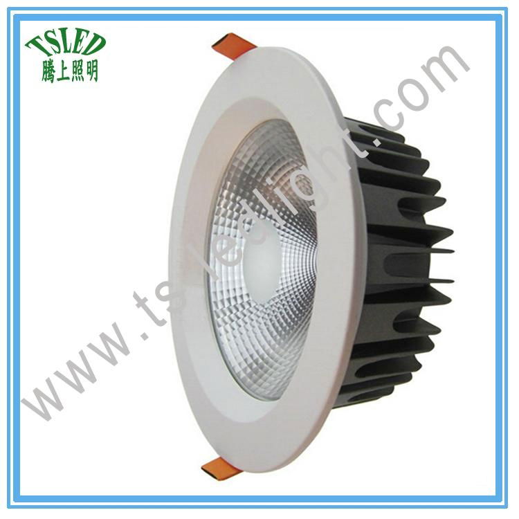 3inch 4inch 6inch 8inch 10W 15W 24W 30W COB LED Dowlight