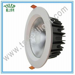 3inch 4inch 6inch 8inch 10W 15W 24W 30W COB LED Dowlight