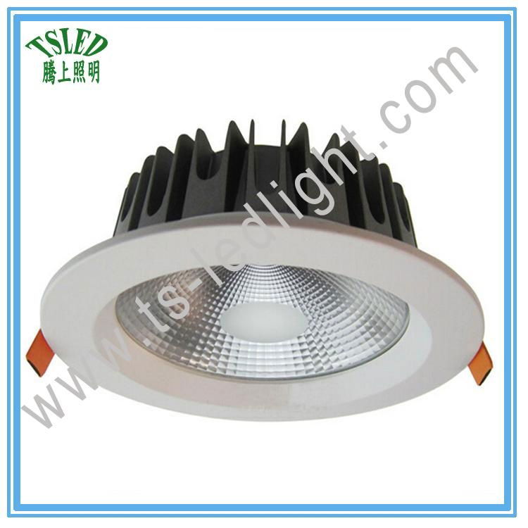 3inch 4inch 6inch 8inch 10W 15W 24W 30W COB LED Dowlight 3