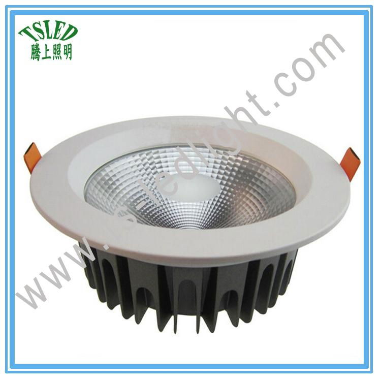 3inch 4inch 6inch 8inch 10W 15W 24W 30W COB LED Dowlight 4