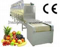 Dried fruits microwave drying equipment-fruit slice dryer machine 2