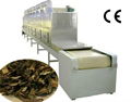 Lotus Leaf tea microwave drying