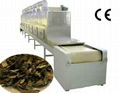 Microwave ginseng dryer equipment-ginseng drying machine 5