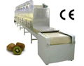 Banana chips microwave drying machine-fruit chip microwave dryer equipment  4