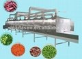 Fruit&Vegetable microwave dryer equipment-Microwave tunnel type dryer equipment 3