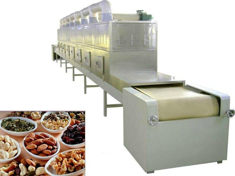 Fruit&Vegetable microwave dryer equipment-Microwave tunnel type dryer equipment 5