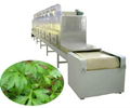 Microwave herbs dryer and sterilizer equipment-Herb leaves drying dterilization  3