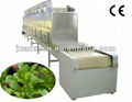 Microwave herbs dryer and sterilizer equipment-Herb leaves drying dterilization  4