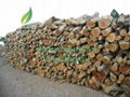 HIGH QUALITY HARDWOOD CHARCOAL FOR BARBECUE LONGAN WOOD CHARCOAL 4