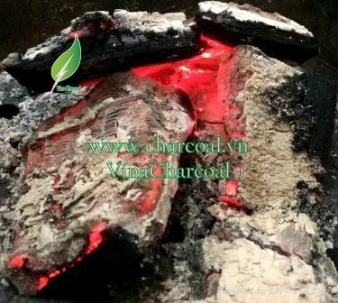 Smokeless sparkless high quality hardwood charcoa grill 5