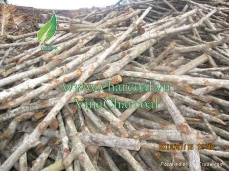 Non toxic 100% natural mangrove wood charcoal for hookah shisha 5